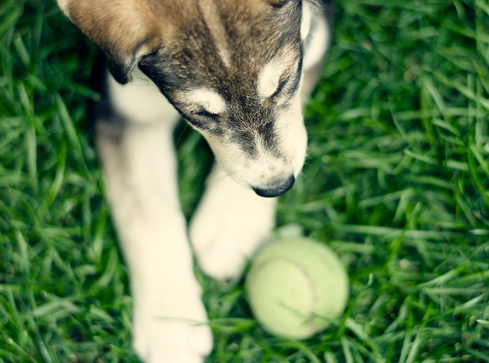 ddos攻击防御手段