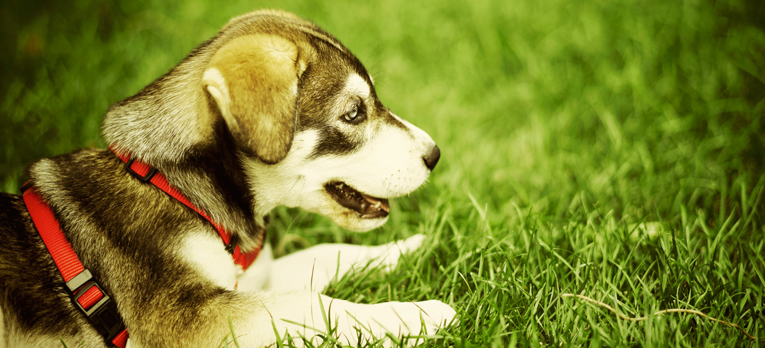 平台在线ddos压力测试